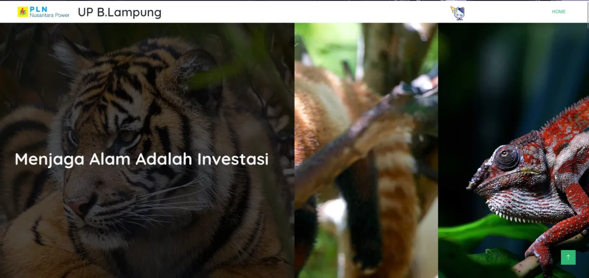 Biodiv website